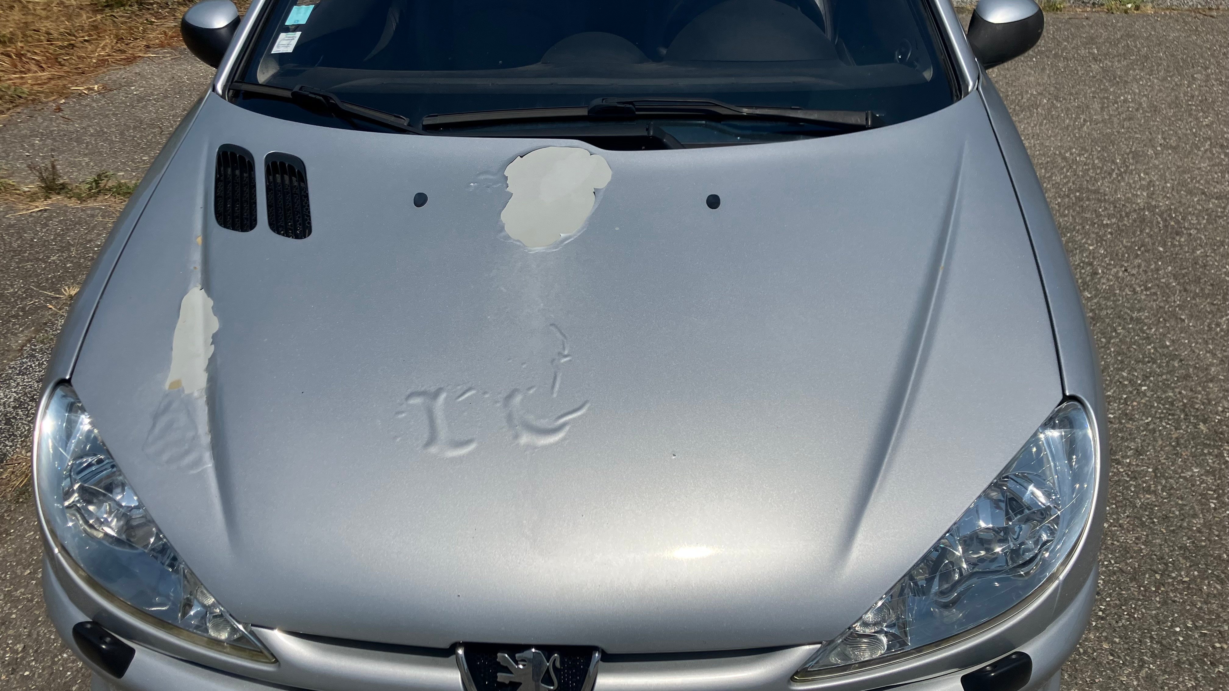 206 CC 2006 - Défaut peinture vue d'ensemble du capot